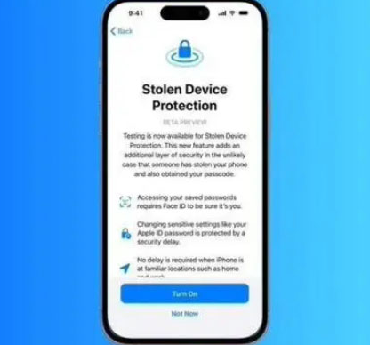 建邺苹果授权维修店分享被盗设备保护功能开启方法 