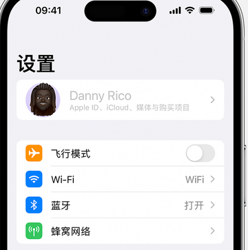 建邺appleID维修服务iPhone设置中Apple ID显示为灰色无法使用 