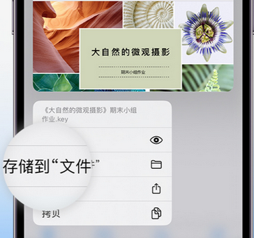 建邺apple维修中心分享iPhone文件应用中存储和找到下载文件