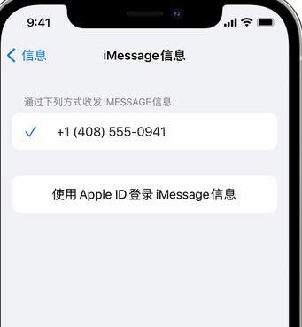 建邺apple维修iPhone上无法正常发送iMessage信息 