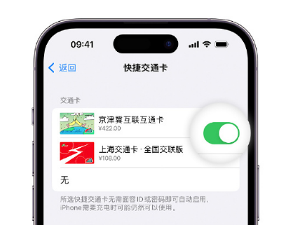 建邺apple维修点分享iPhone上更换Apple Pay快捷交通卡手绘卡面 