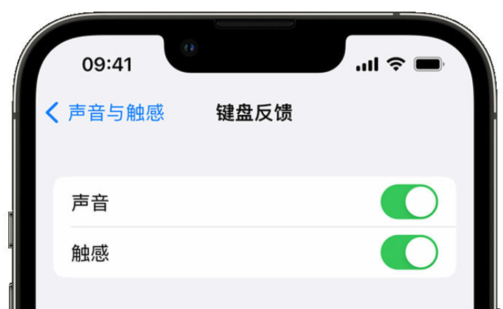 建邺苹果手机维修分享iPhone 14触感键盘使用方法 