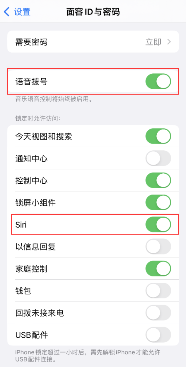 建邺苹果维修网点分享不解锁 iPhone 的情况下通过 Siri 拨打电话的方法 