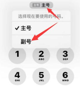 建邺苹果14维修店分享iPhone 14 Pro Max使用副卡打电话的方法 