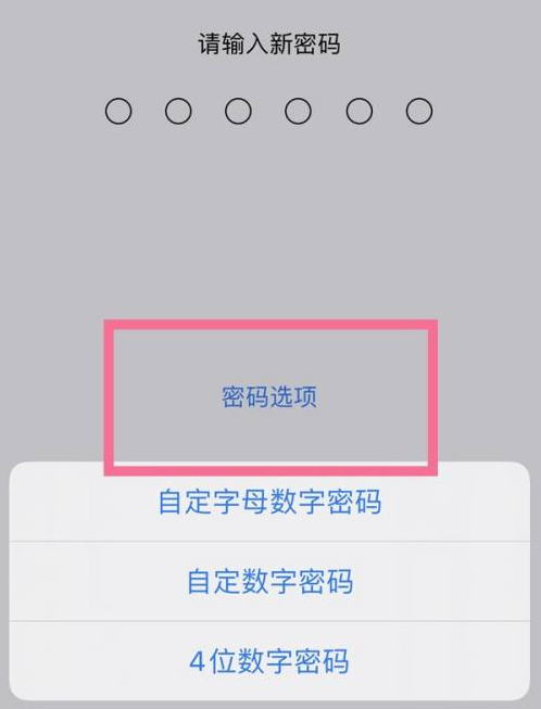 建邺苹果14维修分享iPhone 14plus设置密码的方法 