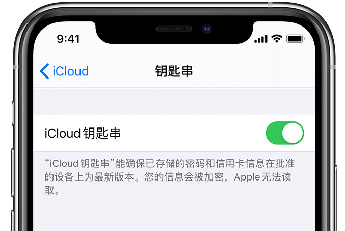 建邺苹果手机维修分享在 iPhone 上开启 iCloud 钥匙串之后会储存哪些信息 